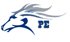 Mustang with PE 